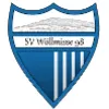 SV Wöllmisse