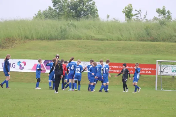 01.06.2024 SV 1990 Ebersdorf vs. VFR Bad Lobenstein II