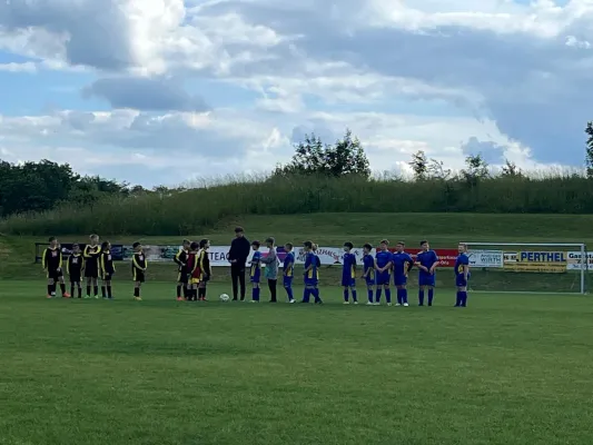 11.06.2024 SV 1990 Ebersdorf vs. VFR Bad Lobenstein