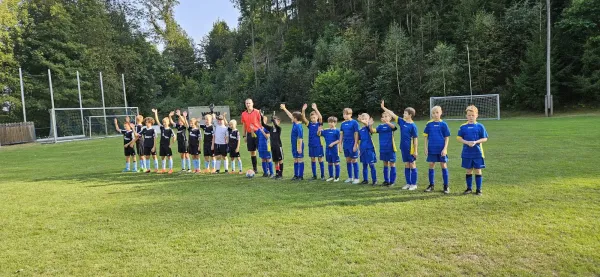 06.09.2024 VFR Bad Lobenstein vs. SV 1990 Ebersdorf