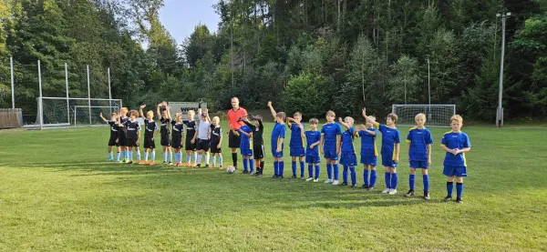 06.09.2024 VFR Bad Lobenstein vs. SV 1990 Ebersdorf