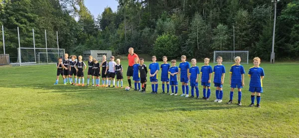 06.09.2024 VFR Bad Lobenstein vs. SV 1990 Ebersdorf