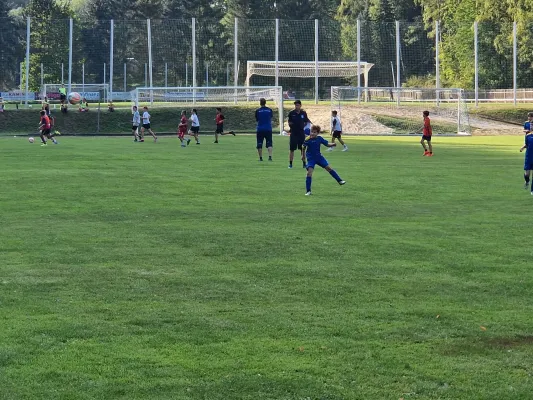 06.09.2024 VFR Bad Lobenstein vs. SV 1990 Ebersdorf