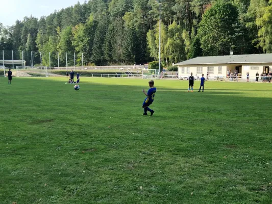 06.09.2024 VFR Bad Lobenstein vs. SV 1990 Ebersdorf