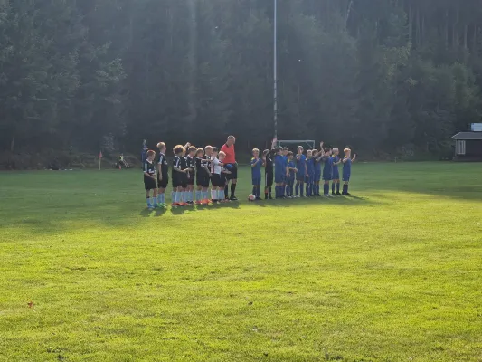 06.09.2024 VFR Bad Lobenstein vs. SV 1990 Ebersdorf