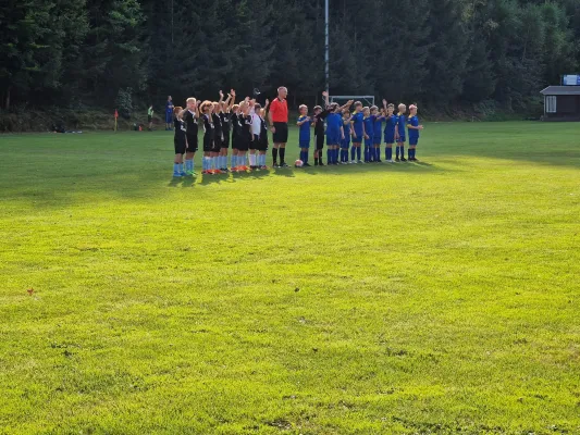 06.09.2024 VFR Bad Lobenstein vs. SV 1990 Ebersdorf