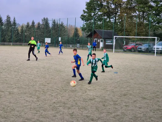 19.10.2024 SV Grün-Weiß Tanna vs. SV 1990 Ebersdorf