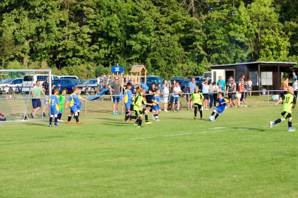 03.09.2024 SV 1990 Ebersdorf II vs. SV BW Neustadt III