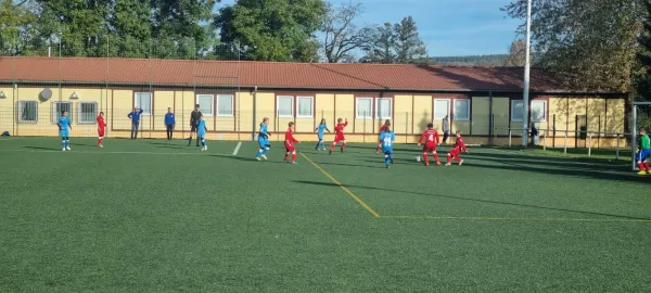 26.10.2024 SV BW Neustadt III vs. SV 1990 Ebersdorf (Ew)