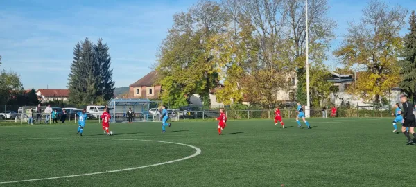 26.10.2024 SV BW Neustadt III vs. SV 1990 Ebersdorf (Ew)