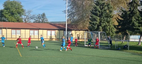 26.10.2024 SV BW Neustadt III vs. SV 1990 Ebersdorf (Ew)