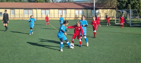 26.10.2024 SV BW Neustadt III vs. SV 1990 Ebersdorf (Ew)