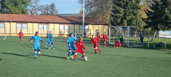 26.10.2024 SV BW Neustadt III vs. SV 1990 Ebersdorf (Ew)