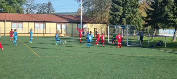 26.10.2024 SV BW Neustadt III vs. SV 1990 Ebersdorf (Ew)