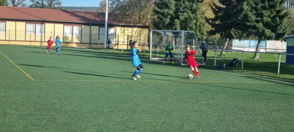 26.10.2024 SV BW Neustadt III vs. SV 1990 Ebersdorf (Ew)