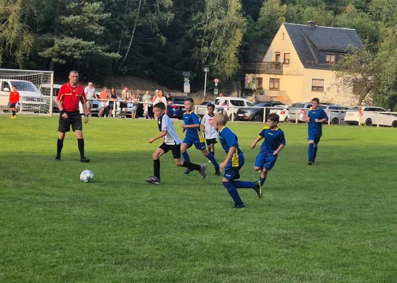 30.08.2024 VFR Bad Lobenstein II vs. SV 1990 Ebersdorf