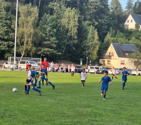 30.08.2024 VFR Bad Lobenstein II vs. SV 1990 Ebersdorf