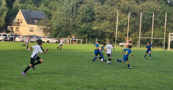 30.08.2024 VFR Bad Lobenstein II vs. SV 1990 Ebersdorf