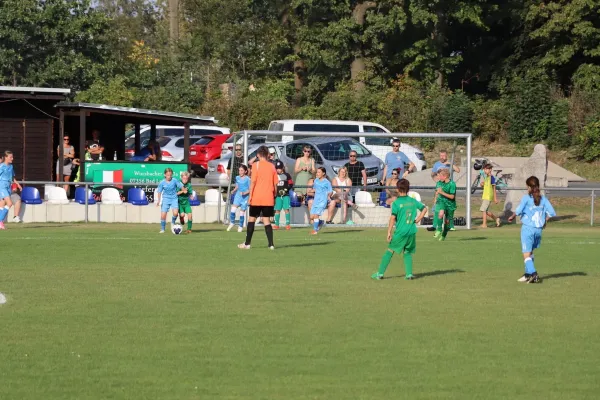 03.09.2024 SV 1990 Ebersdorf vs. SV Moßbach