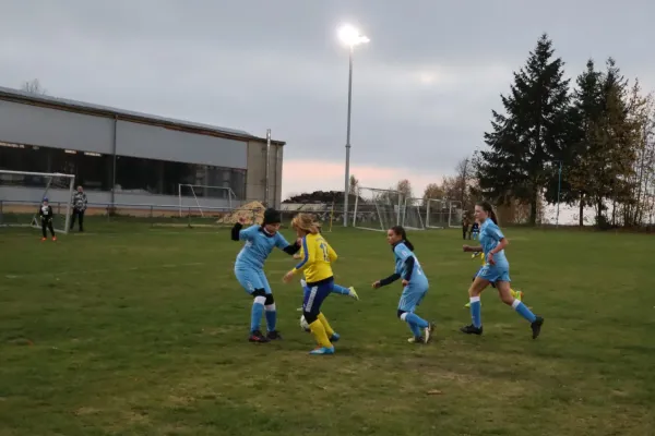 01.11.2024 SV 1990 Ebersdorf vs. VFR Bad Lobenstein (E2)